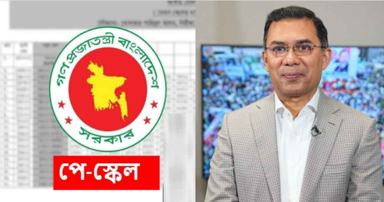পে স্কেল বাস্তবায়ন কবে, যা আছে বিএনপির ইশতেহারে