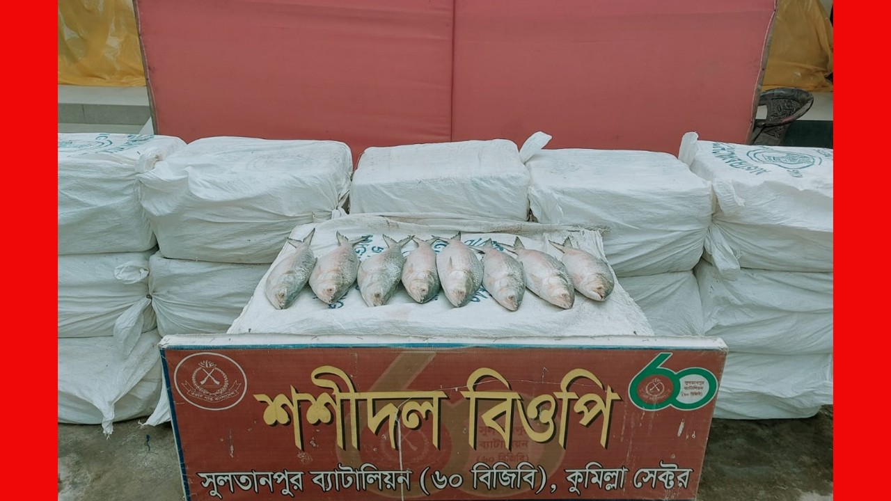 কুমিল্লা সীমান্তে ৪৪০ কেজি ইলিশ জব্দ